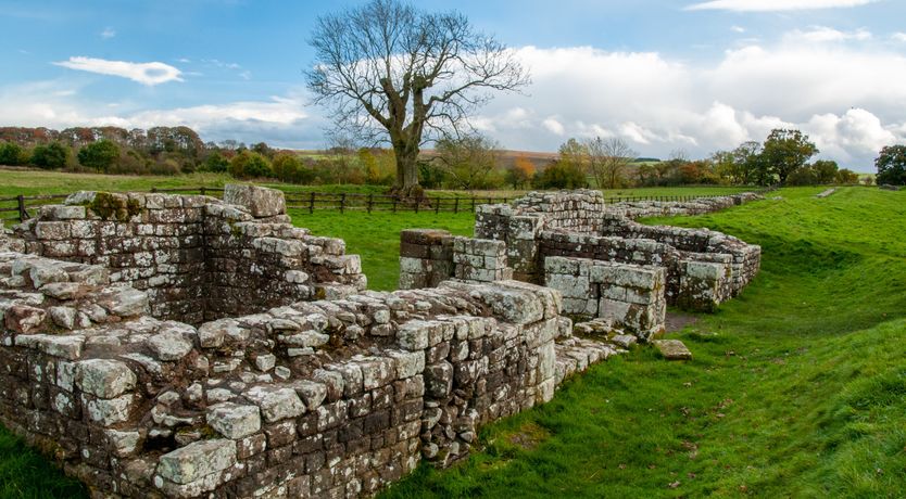 Photo of Look of Luxe