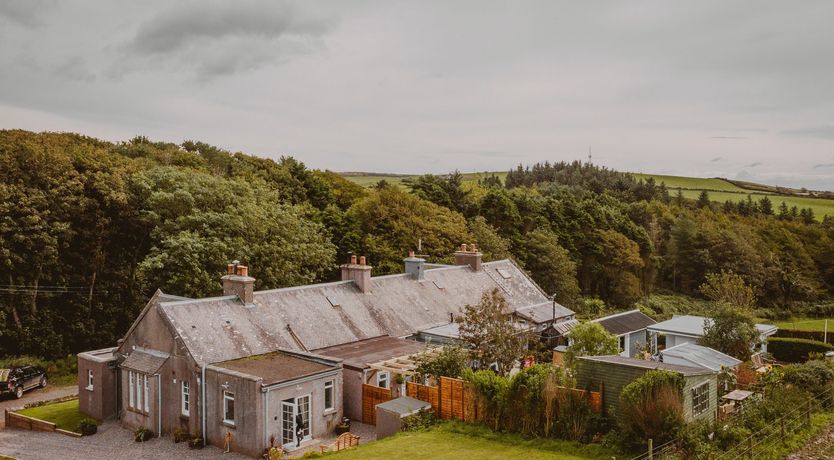 Photo of A Gaggle of Geese