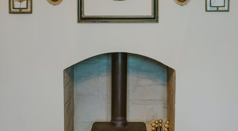 Photo of A Gaggle of Geese