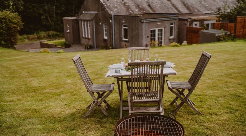Photo of A Gaggle of Geese