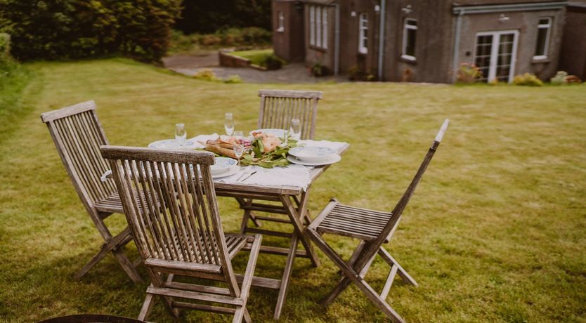 Photo of A Gaggle of Geese