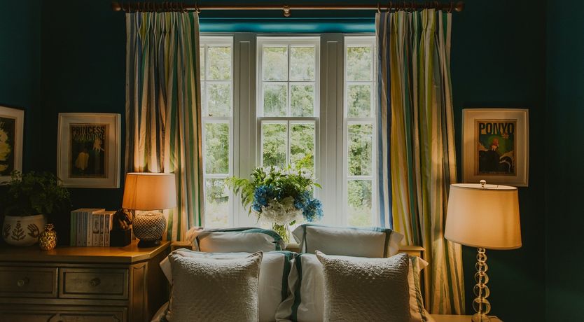 Photo of A Gaggle of Geese