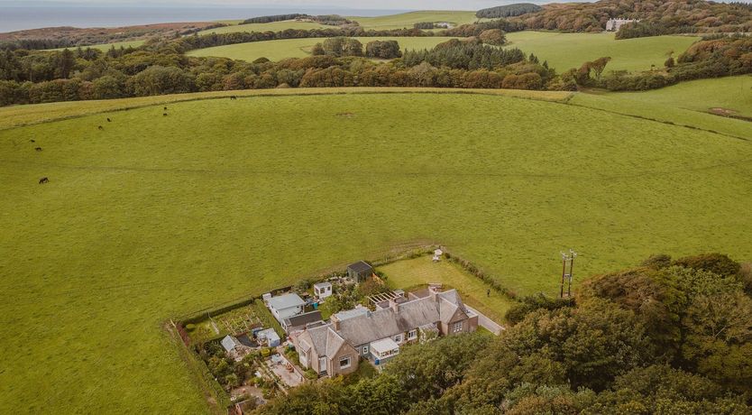 Photo of A Gaggle of Geese