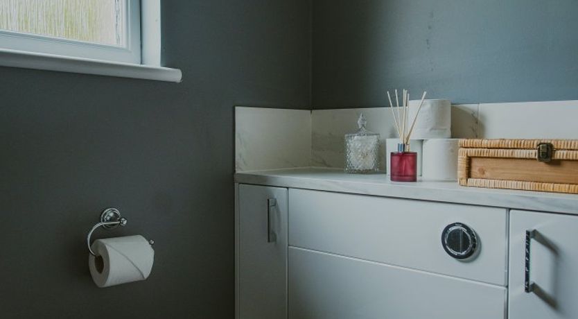 Photo of A Gaggle of Geese