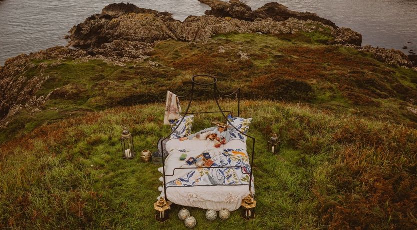 Photo of A Gaggle of Geese