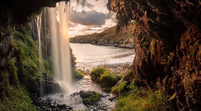 Photo of A Gaggle of Geese