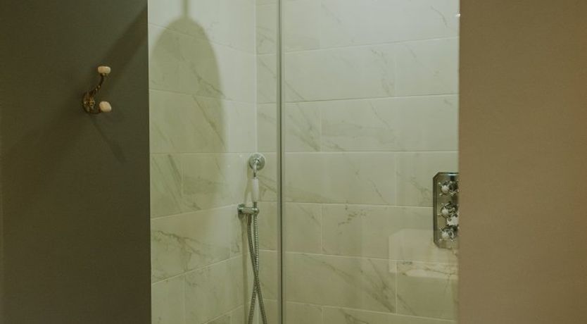 Photo of A Gaggle of Geese