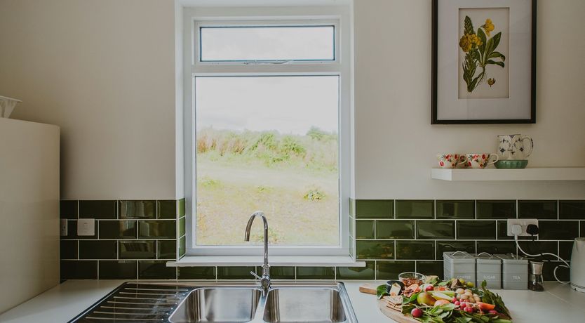 Photo of A Gaggle of Geese