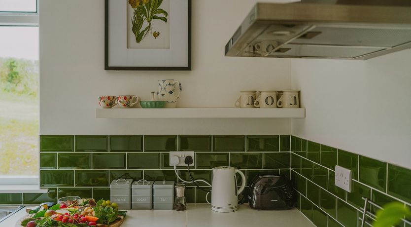 Photo of A Gaggle of Geese