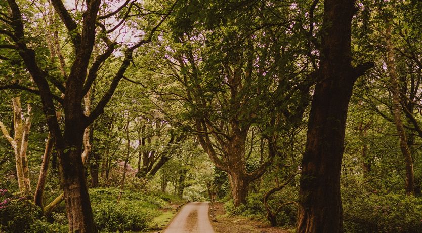 Photo of The Horticulturalist
