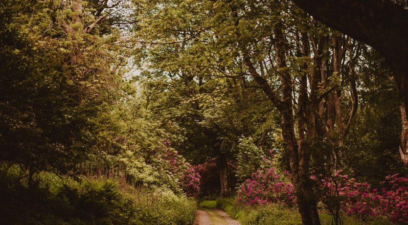 Photo of The Horticulturalist