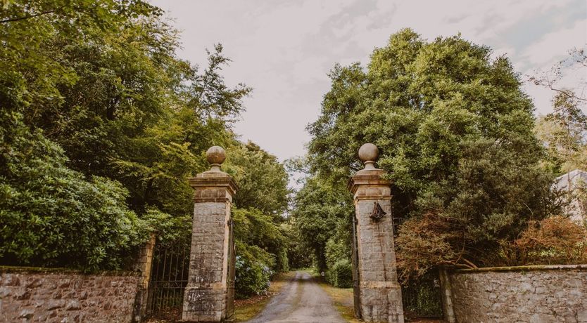 Photo of Red Deer Of Dunskey