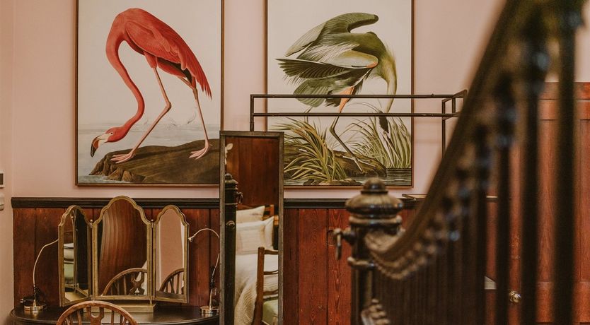 Photo of Red Deer Of Dunskey