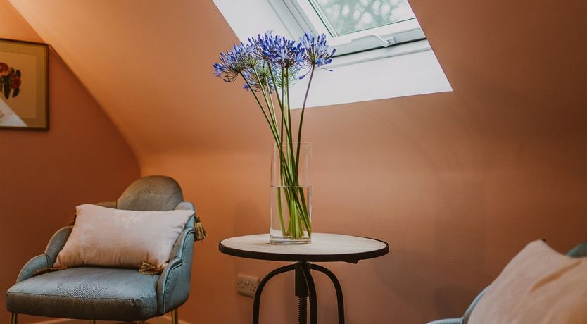 Photo of Red Deer Of Dunskey