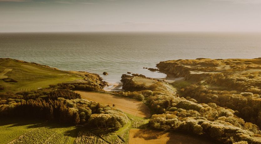 Photo of Highland Heather