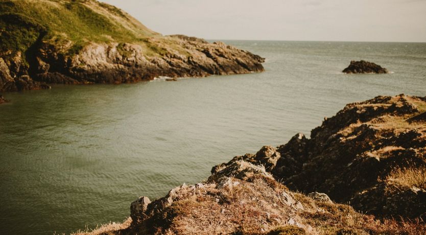 Photo of Highland Heather