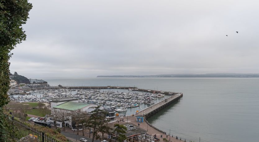 Photo of Pollock Palms