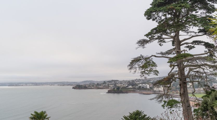 Photo of Pollock Palms