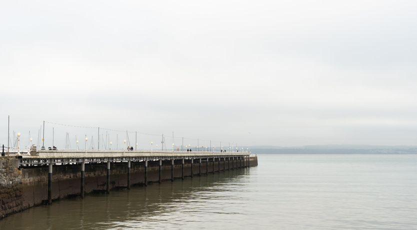 Photo of Pollock Palms