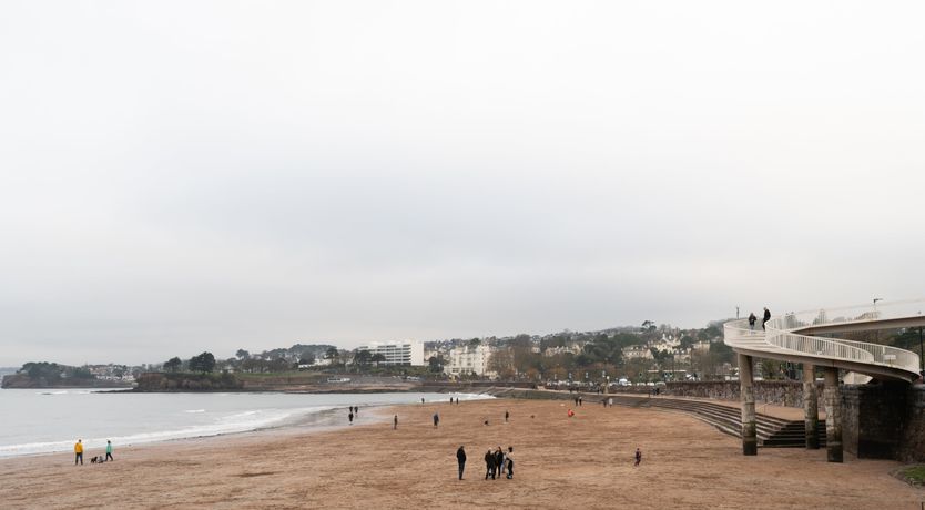 Photo of Pollock Palms
