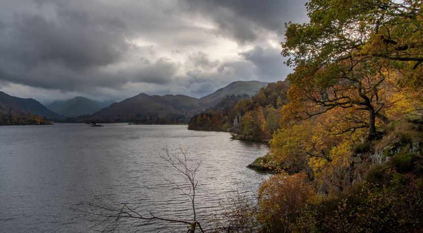 Photo of Grass of Parnassus