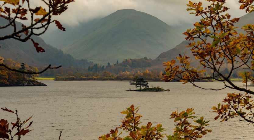 Photo of Grass of Parnassus