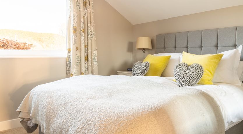 Photo of Grass of Parnassus