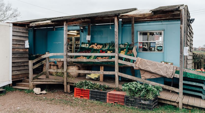 Photo of Haybales & Horses
