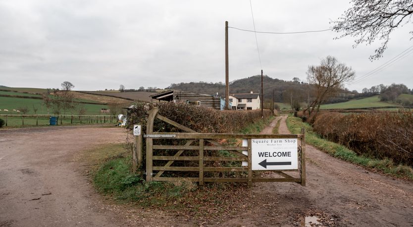 Photo of Haybales & Horses