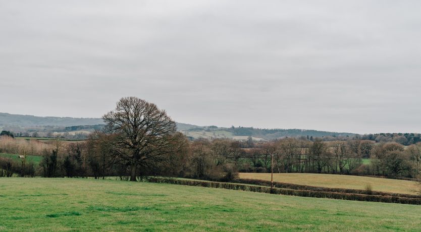 Photo of Haybales & Horses
