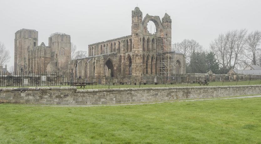 Photo of The Cashmere Goat