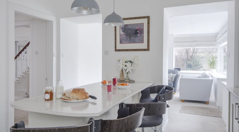 Photo of The Cashmere Goat