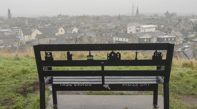 Photo of The Cashmere Goat
