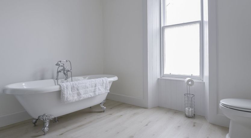 Photo of The Cashmere Goat