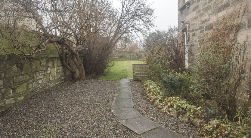 Photo of The Cashmere Goat