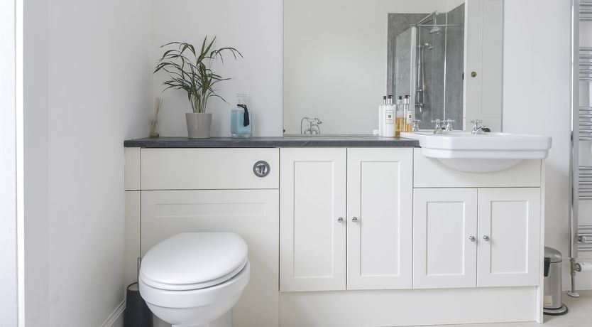 Photo of The Cashmere Goat