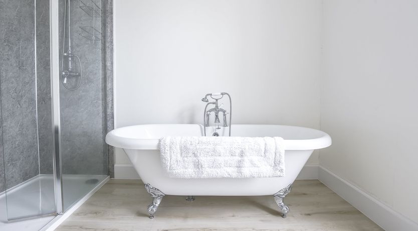 Photo of The Cashmere Goat