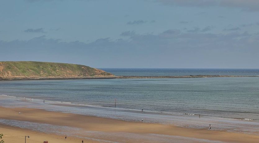 Photo of Puffin Rock