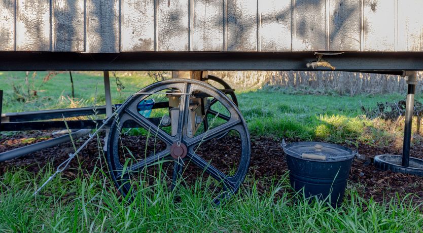 Photo of Fields & Seagulls