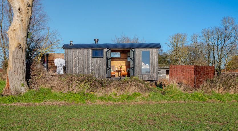 Photo of Fields & Seagulls