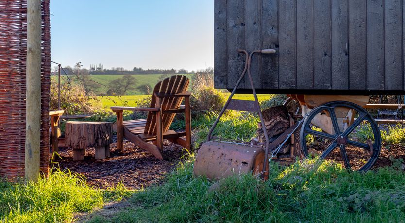 Photo of Fields & Seagulls