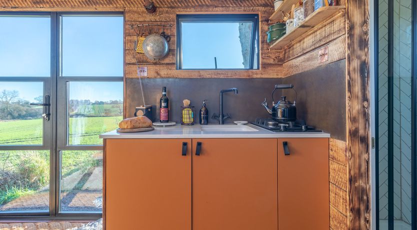 Photo of Fields & Seagulls