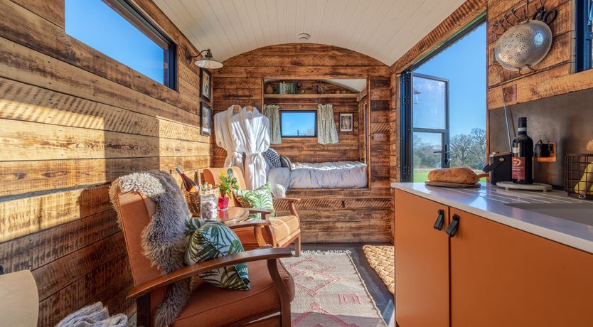 Photo of Fields & Seagulls