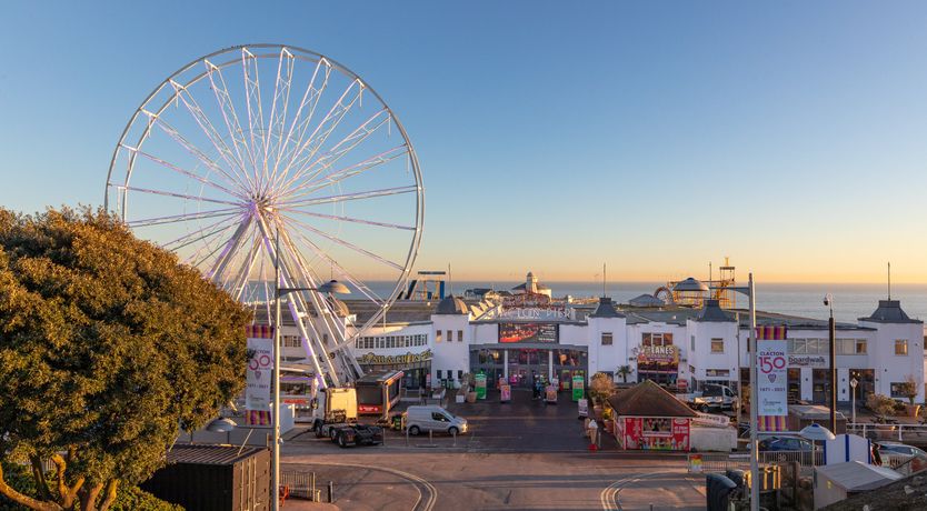 Photo of Fields & Seagulls