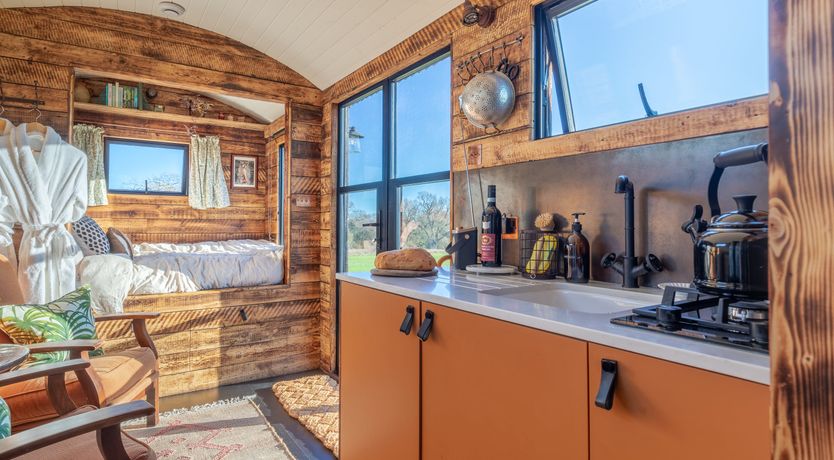 Photo of Fields & Seagulls