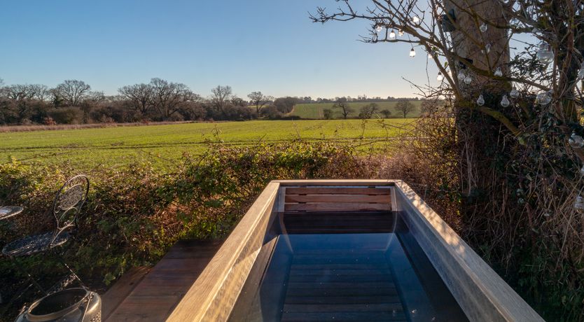 Photo of Fields & Seagulls