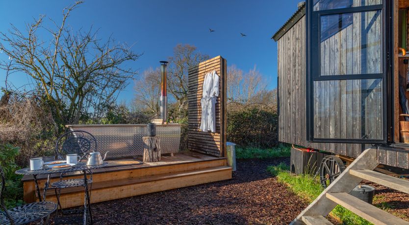 Photo of Fields & Seagulls