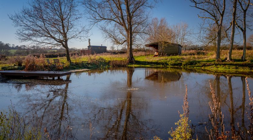 Photo of Fields & Seagulls