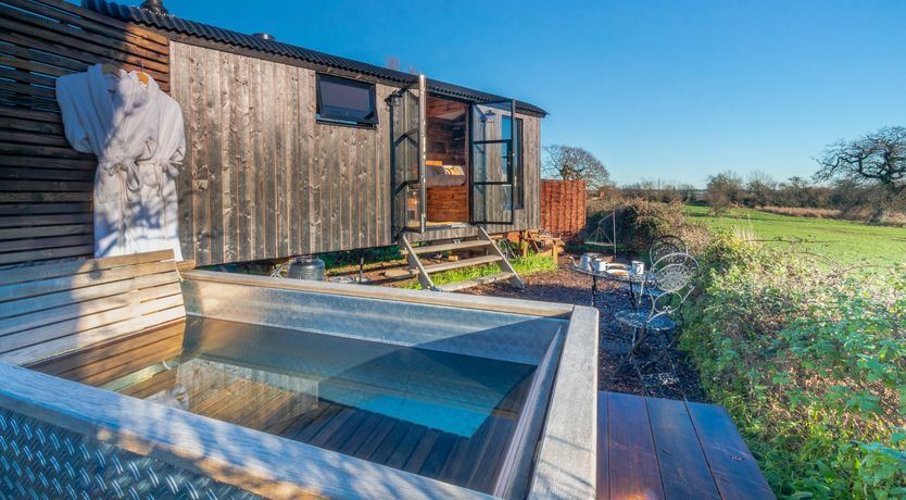 Photo of Fields & Seagulls