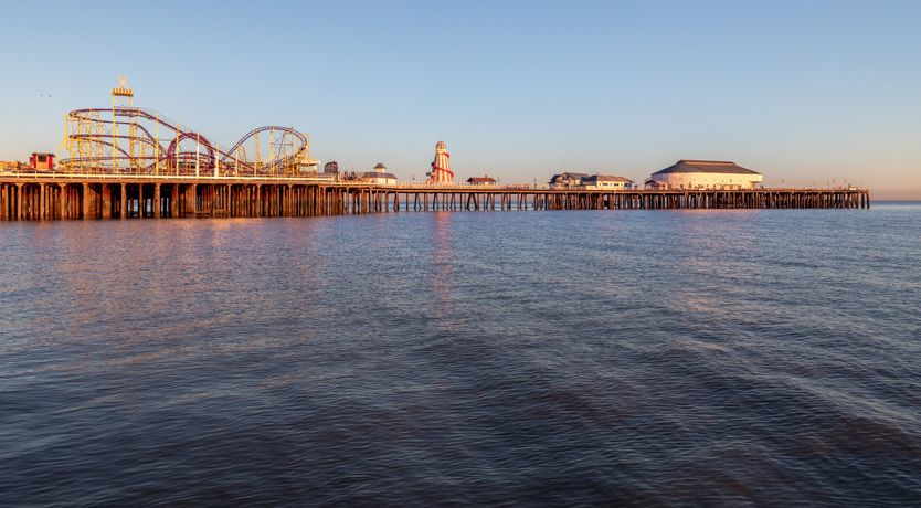 Photo of Fields & Seagulls